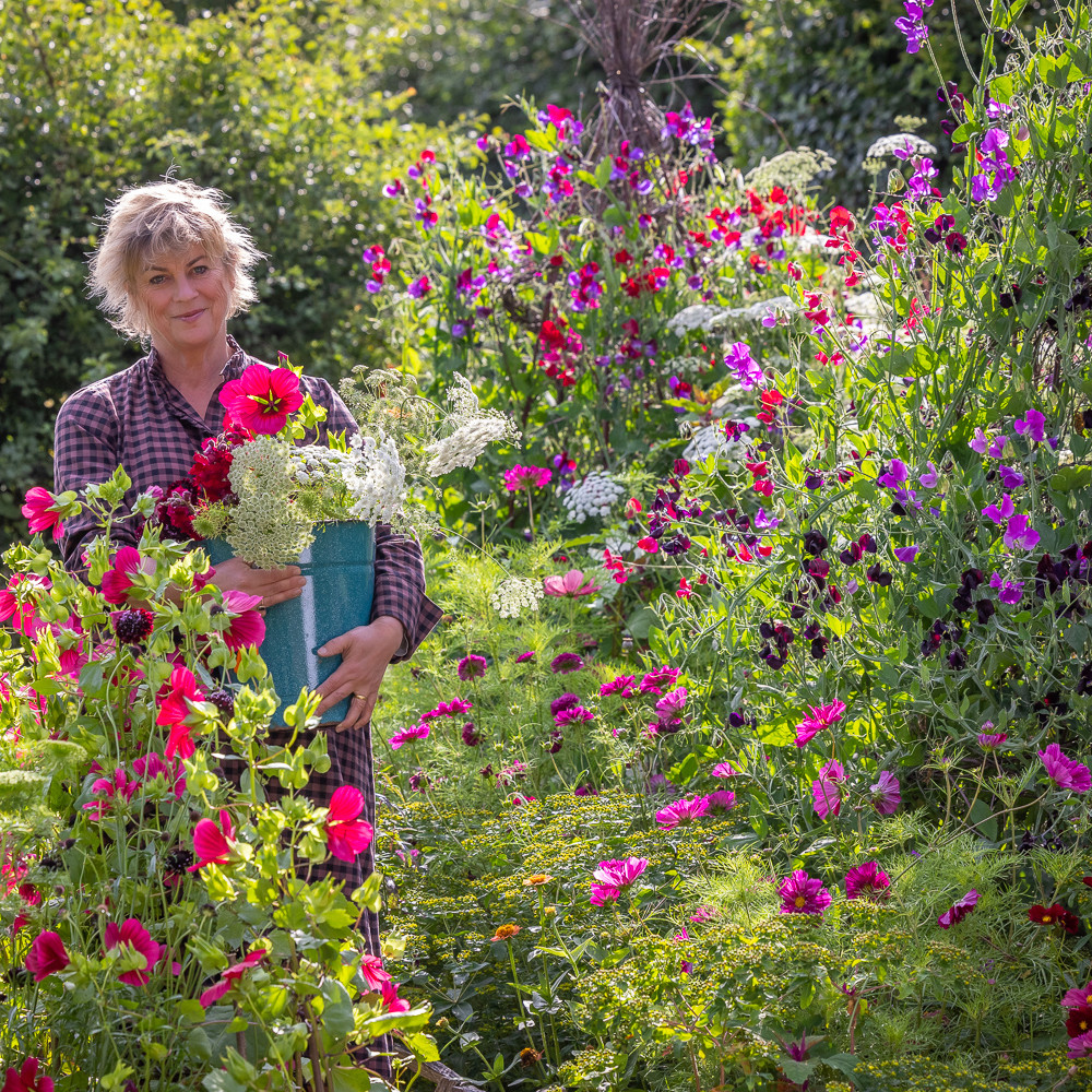 June and July Open Days | Sarah Raven