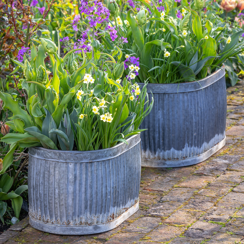 Oval Zinc Dolly Tubs Zinc Plant Pots Sarah Raven