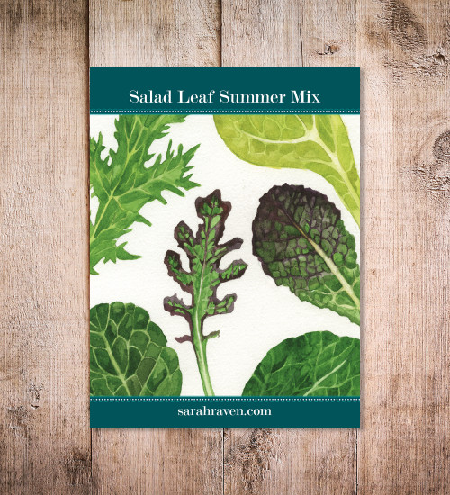 Buy Summer Salad Leaf Mix Seeds Sarah Raven