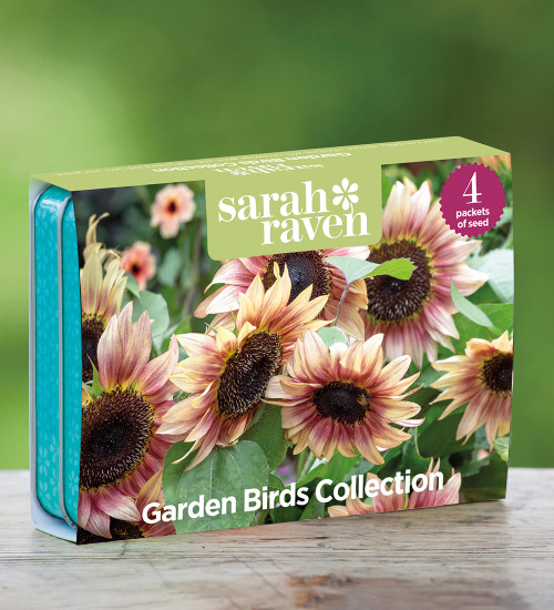 Garden Birds Seed Tin Collection