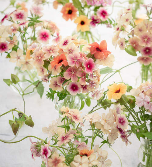 The Floral Wallpaper Collection