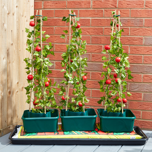 Square Tomato and Pepper Ring Culture Pots