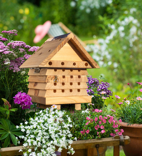 Solitary Beehive