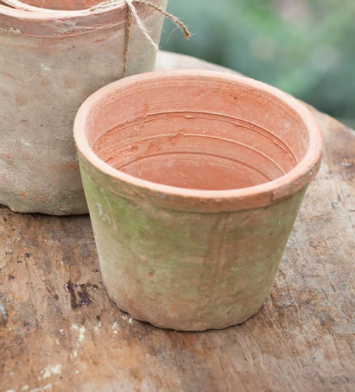 Rustic Terracotta Pot