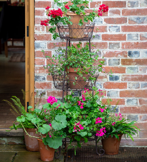 Wire Plant Stand