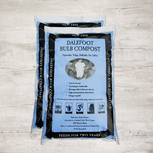 Peat Free Compost for Bulbs