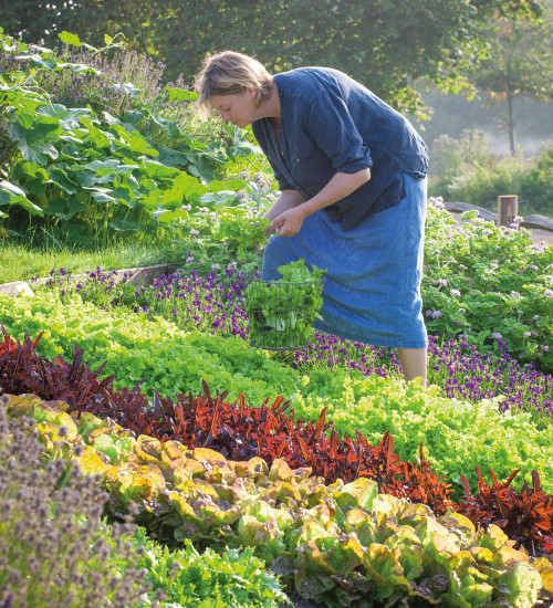 A Year Full of Veg with Sarah Raven at Oxleaze Barn, Gloucestershire