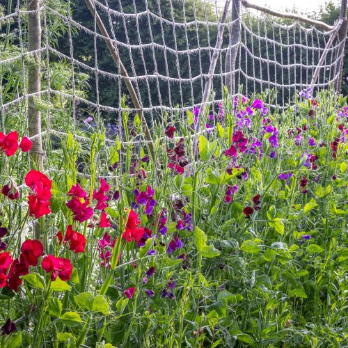 Natural Jute Netting