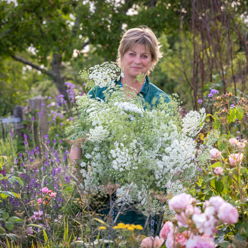 Grow Your Own Cut Flowers with Sarah Raven at Thyme, Gloucestershire