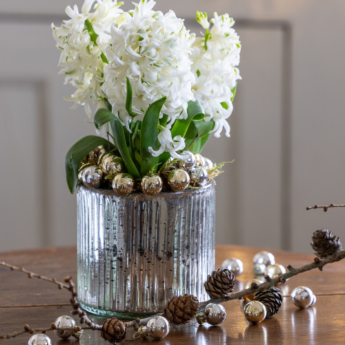 Hyacinths in a Ribbed Hurricane Glass