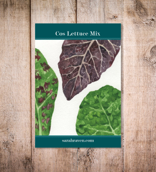 Cos Lettuce Mix