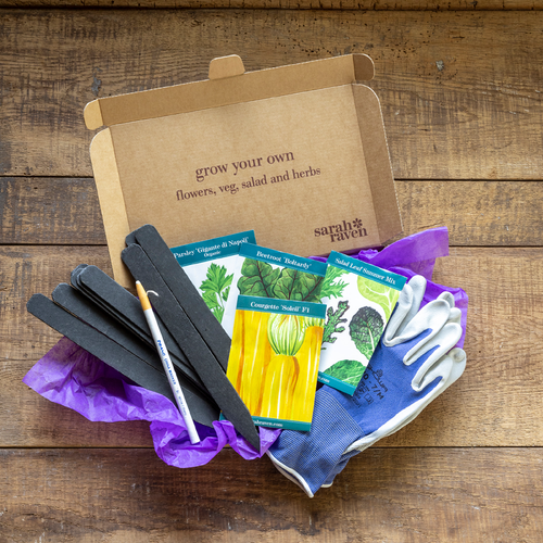 Super Easy Veg Seed Letterbox Starter Collection