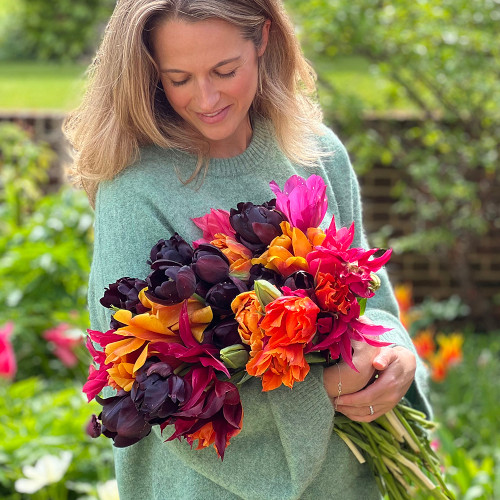 Kim Murray's Cromlix Tulip Collection