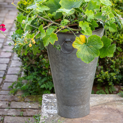 Zinc Longtom | Plant Pots | Sarah Raven