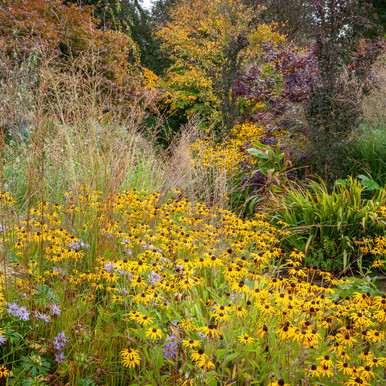 Late-season, Modern Prairie Border Combination