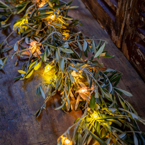 Olive Garland Olive Garland