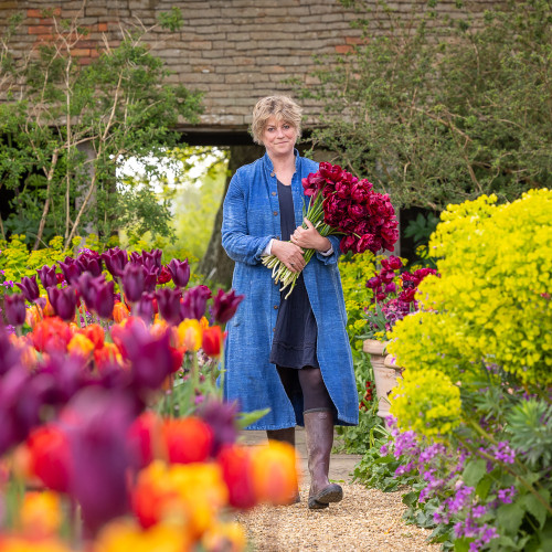 A Year Round Colour Garden with Sarah Raven at Perch Hill Farm