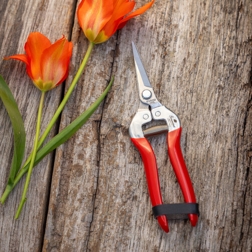 Flower Snips