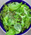 Salad Leaf Summer Mix