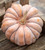 Pumpkin 'Black Futsu' (Cucurbita moschata)