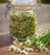 Roman Chamomile