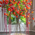 Chinese Lantern Branches