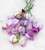 Wedding Party Sweet Pea Container Collection