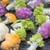 Rainbow Cauliflower Collection