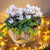 Cyclamen and Ivy in Leaf Planter