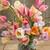 April Sunrise Tulip Collection