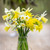 Bring Spring Early Narcissus Collection