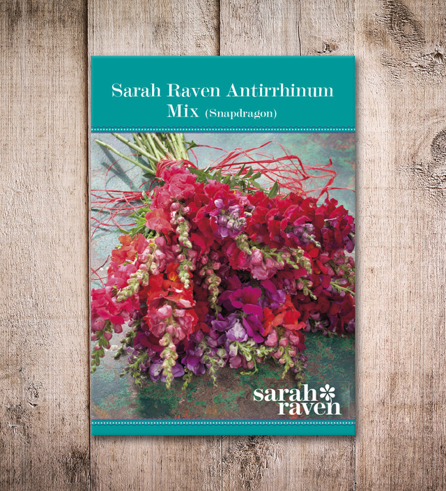 Buy Sarah Raven Antirrhinum Collection Sarah Raven