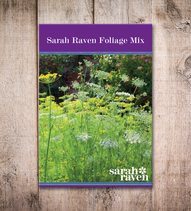 Sarah Raven Foliage Mix Sarah Raven