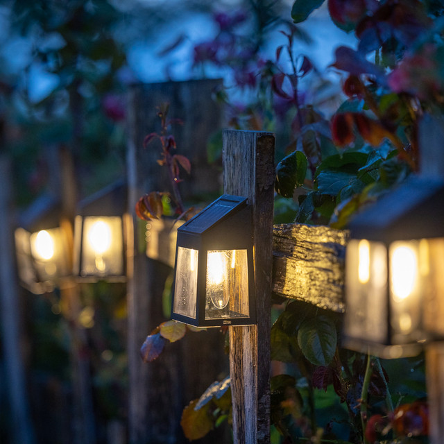 Solar Path Lights | Solar Lights | Sarah Raven