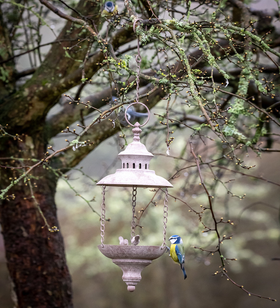 Lantern Bird Feeder Hanging Bird Feeders Sarah Raven