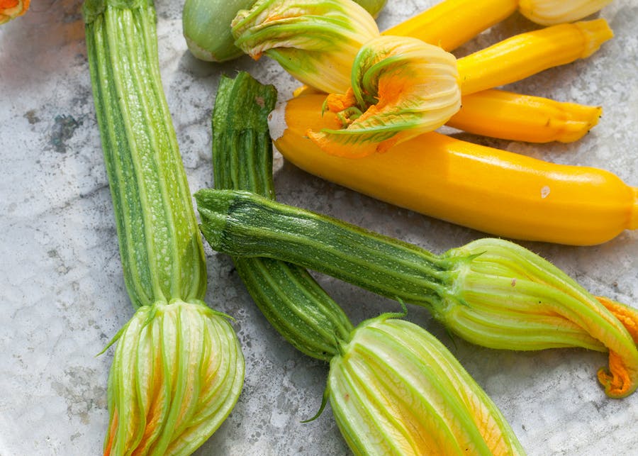 how-to-plant-grow-care-for-courgettes-sarah-raven