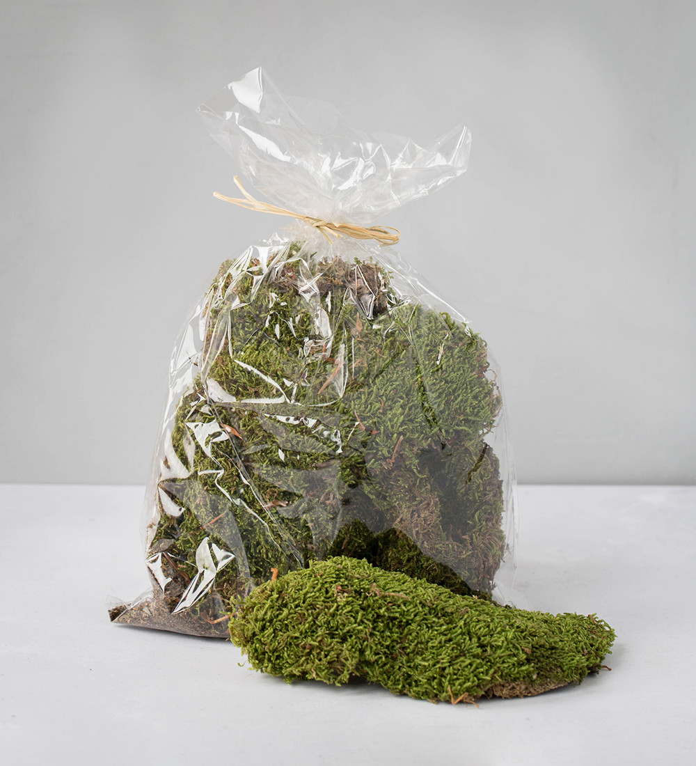 Bag of Natural Dried Moss (Set of 3) image