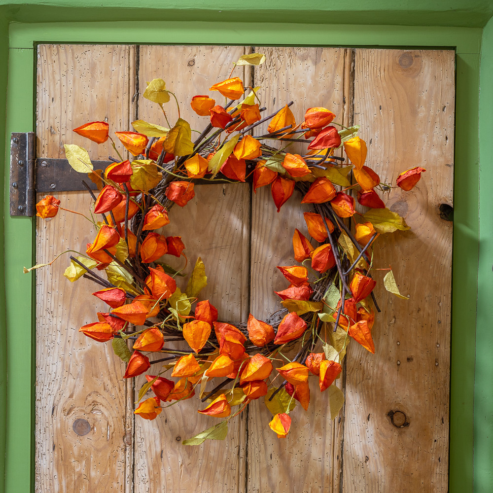 Chinese Lantern Wreath (1 Wreath) image