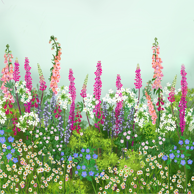 The Cottage Garden Collection