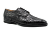 Zelli  Andrea Crocodile Lace Up Black