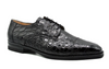 Zelli  Andrea Crocodile Lace Up Black 