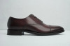 G. Brown Salem Oxford Brown 