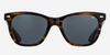 American Optical Saratoga Brown Demi/Gray