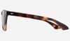 American Optical Hudson Tortoise/Green