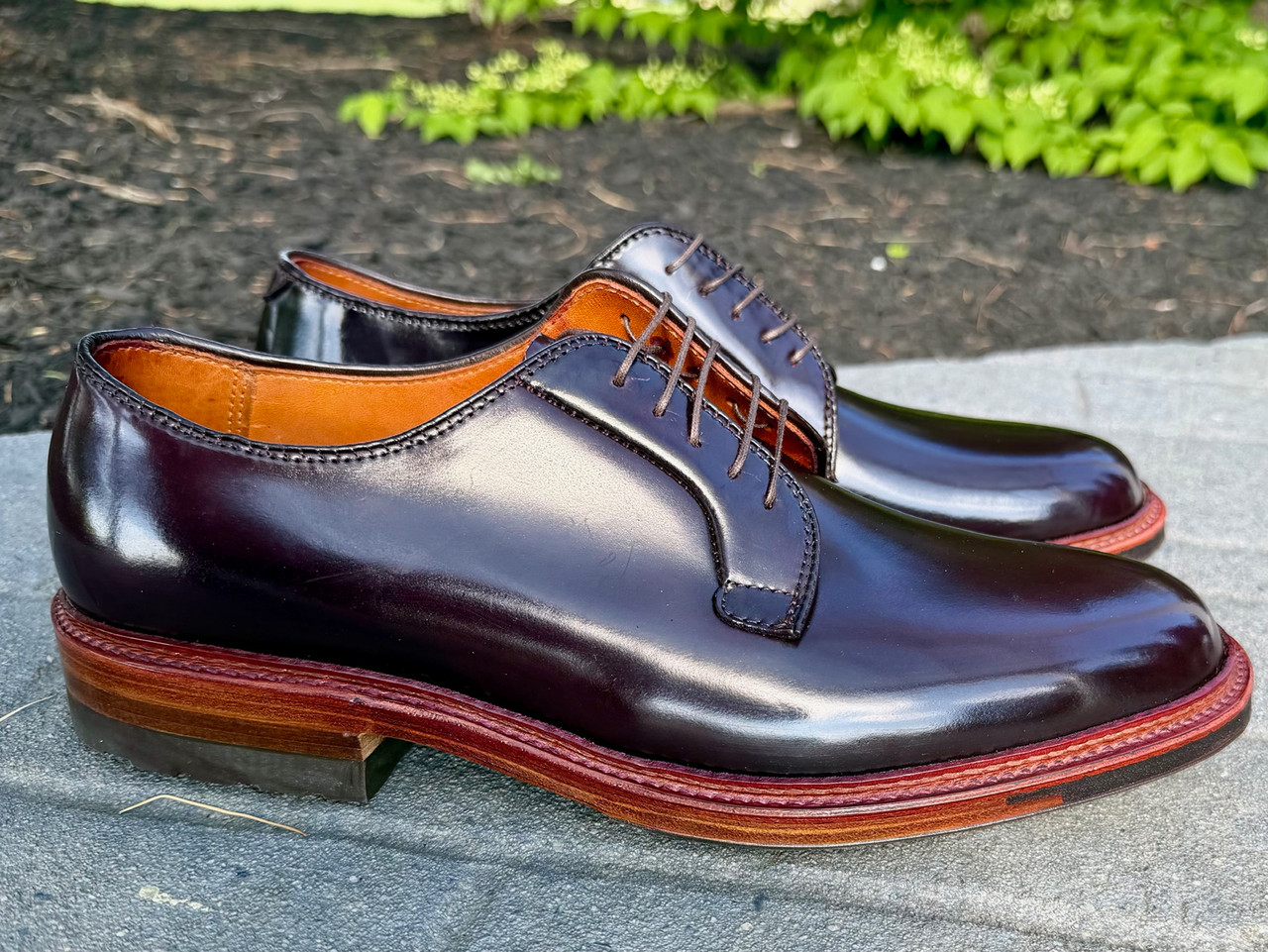 ALDEN×BLUE BLUE 97782C 8D Limited Edition Alden Plain Toe Color 8 Shell Cordovan Blucher W