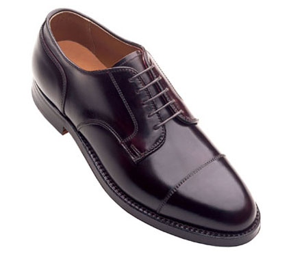 Alden Straight Tip Blucher Color 8 Genuine Shell Cordovan