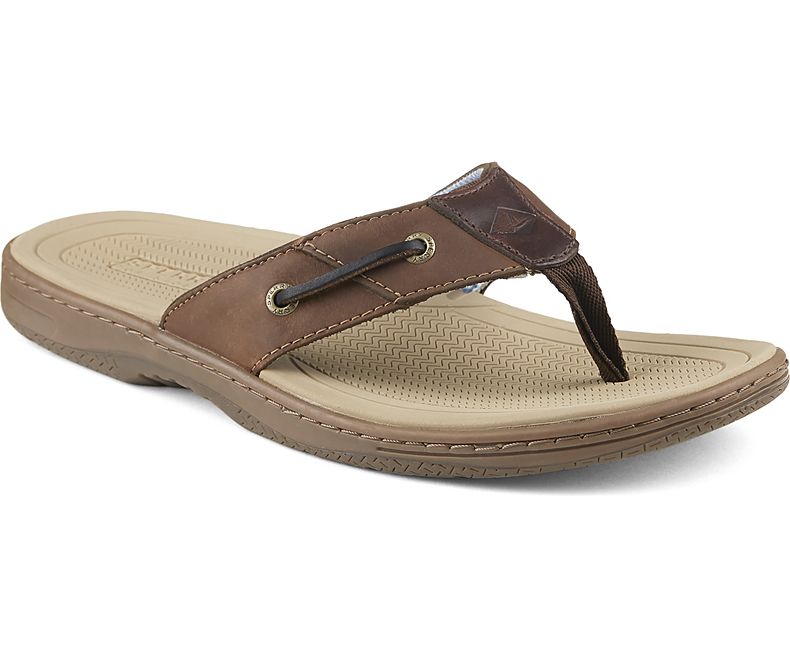 sperry baitfish flip flops