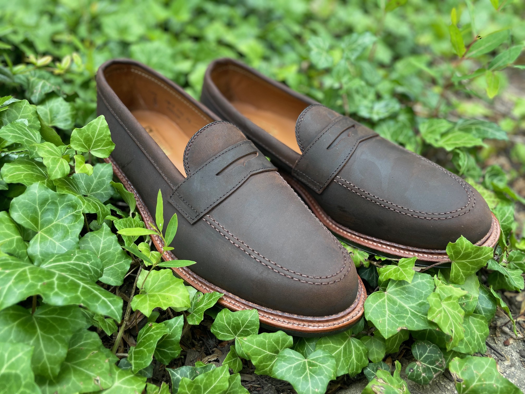 トランプ Gaucho LIMITED Edition 