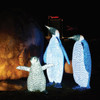 LED Penguin Family