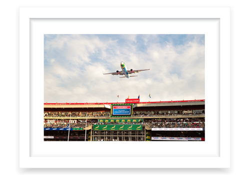 Springbok FlyBy Print 2